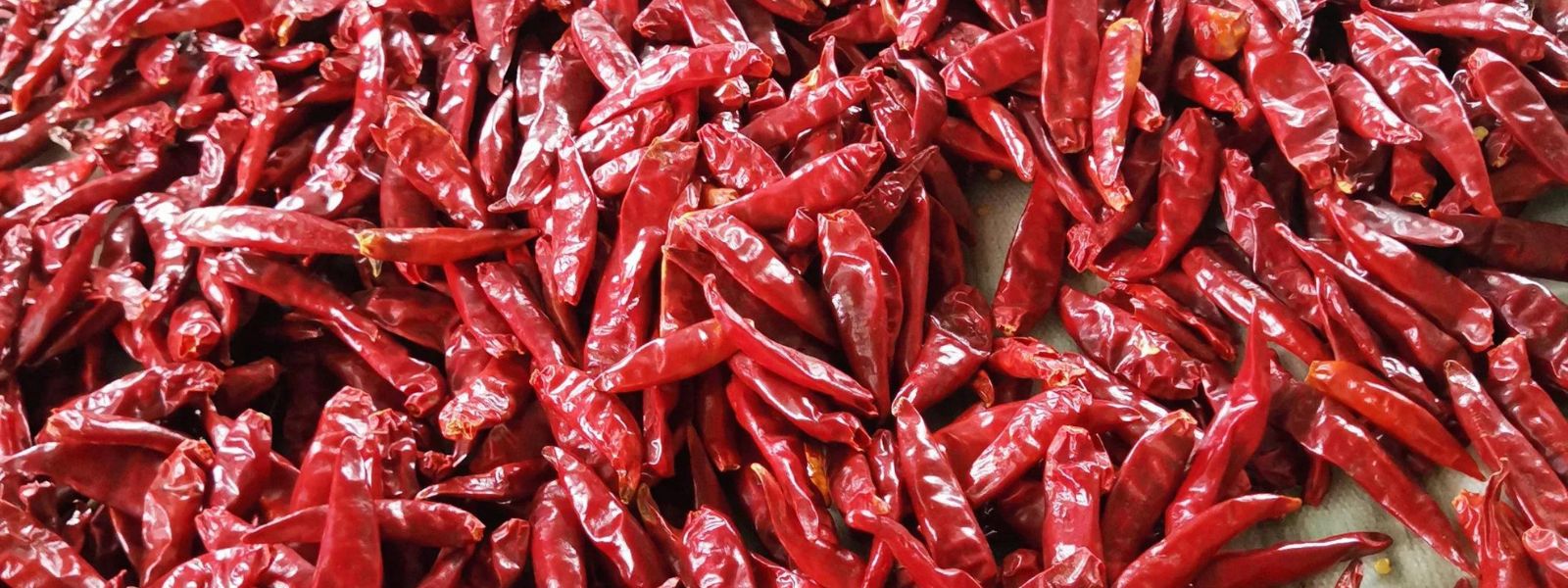 Batch of chilies from Pakistan re-exported